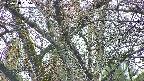 takano4-20250418055056.jpg