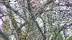 takano4-20250418063056.jpg