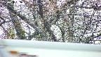 takano4-20250418093057.jpg