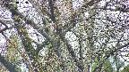 takano4-20250418103058.jpg