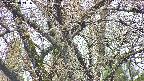 takano4-20250418111056.jpg