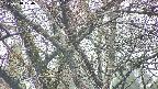 takano4-20250418120057.jpg