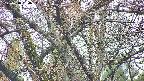 takano4-20250418134057.jpg