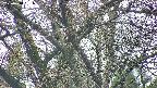 takano4-20250418151057.jpg