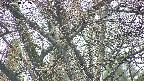 takano4-20250418162057.jpg