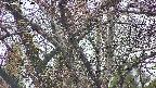 takano4-20250418180057.jpg