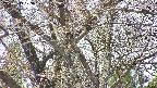 takano4-20250419123058.jpg