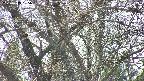 takano4-20250419135057.jpg