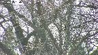 takano4-20250419150057.jpg