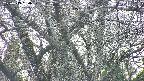 takano4-20250419160058.jpg