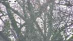takano4-20250419163059.jpg