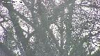 takano4-20250419165057.jpg