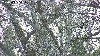 takano4-20250419175056.jpg