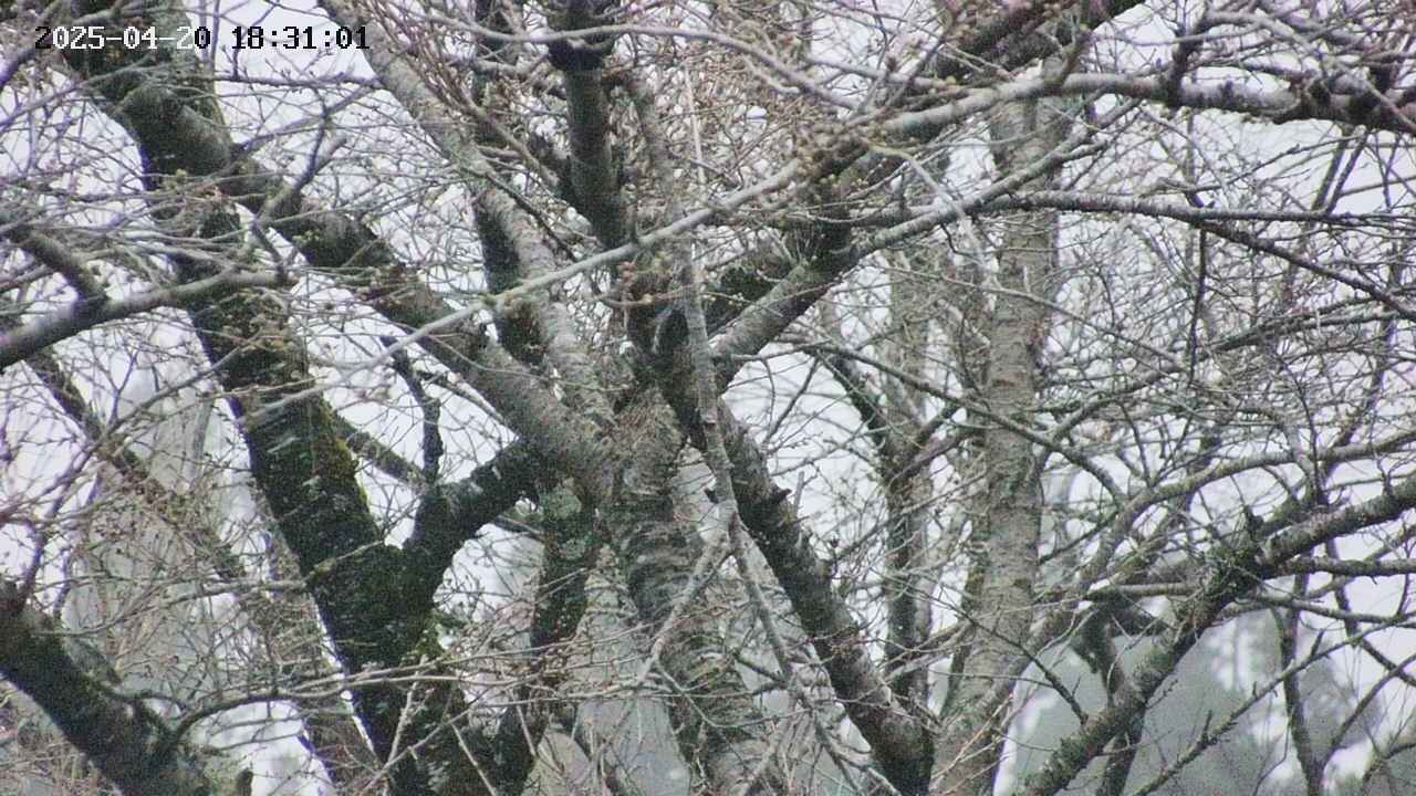 takano4-20250420183105.jpg