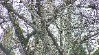 takano4-20250421074058.jpg