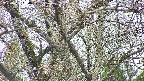 takano4-20250421090057.jpg