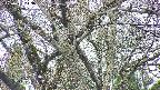 takano4-20250421113057.jpg