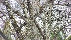 takano4-20250421151059.jpg