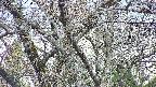 takano4-20250421164059.jpg