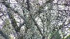 takano4-20250421172059.jpg