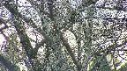 takano4-20250421180058.jpg