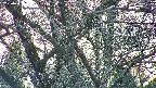 takano4-20250421181059.jpg