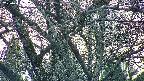 takano4-20250421182057.jpg