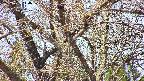 takano4-20250422110058.jpg