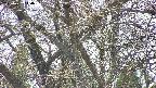 takano4-20250422140059.jpg