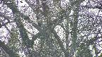 takano4-20250422152101.jpg