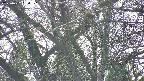 takano4-20250422154102.jpg