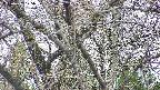 takano4-20250422175059.jpg
