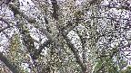 takano4-20250422181058.jpg