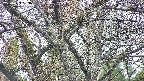 takano4-20250423063059.jpg