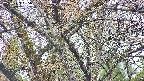 takano4-20250423065058.jpg