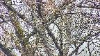 takano4-20250423070059.jpg