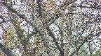 takano4-20250423072059.jpg