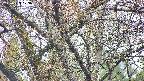 takano4-20250423073059.jpg
