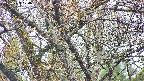takano4-20250423074058.jpg