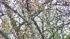 takano4-20250423080059.jpg