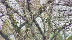 takano4-20250423092059.jpg