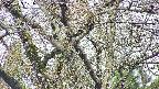 takano4-20250423101057.jpg