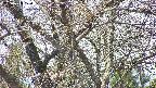 takano4-20250423120101.jpg