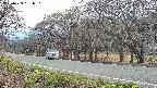 takano4-20250423161624.jpg