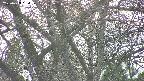 takano4-20250423164057.jpg