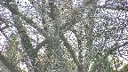 takano4-20250423165058.jpg