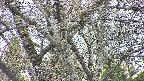 takano4-20250423175059.jpg