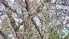 takano4-20250424051055.jpg