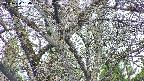 takano4-20250424054058.jpg