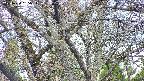 takano4-20250424055055.jpg